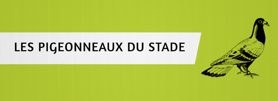 Logo Dominique FOUCHARD